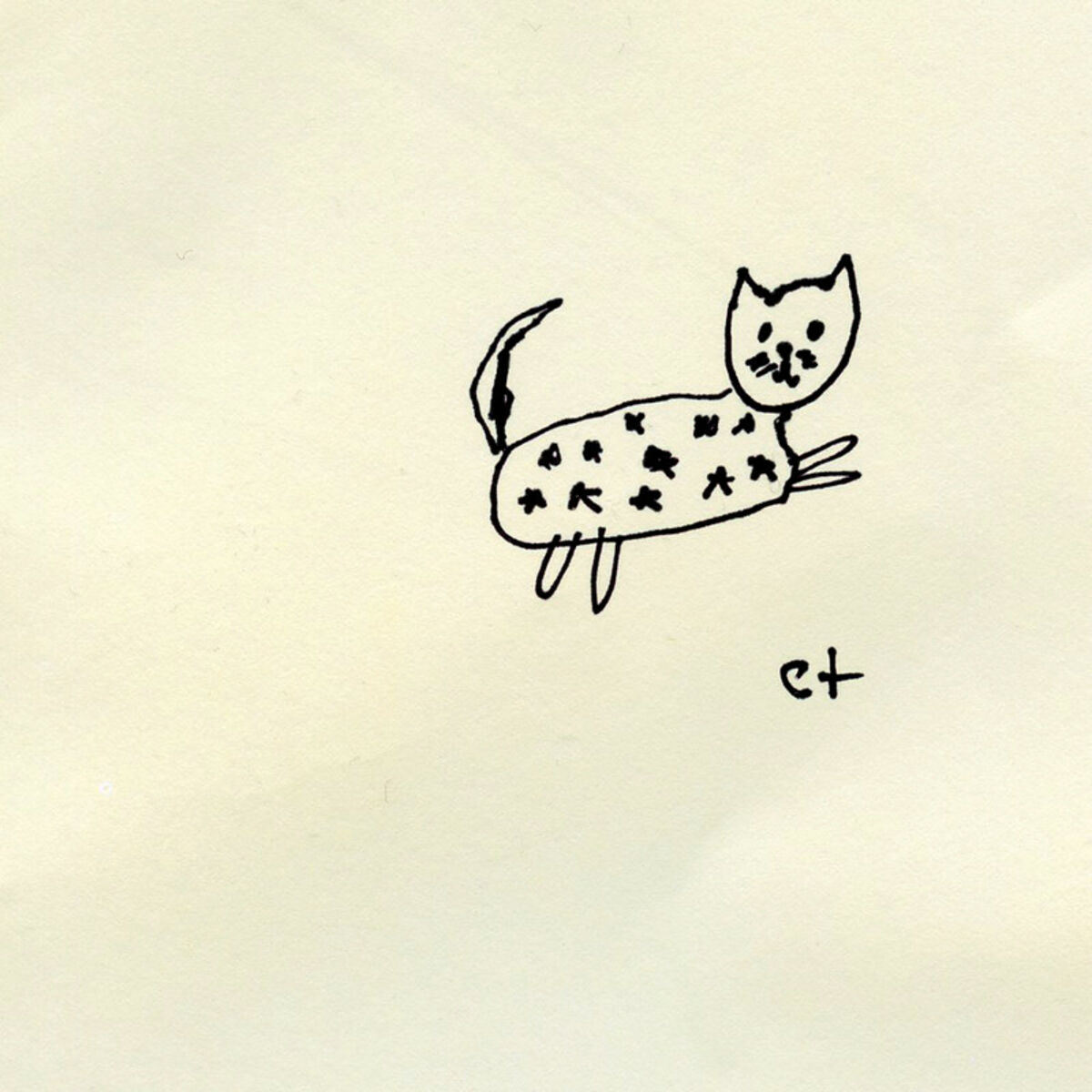 starry cat - starry cat